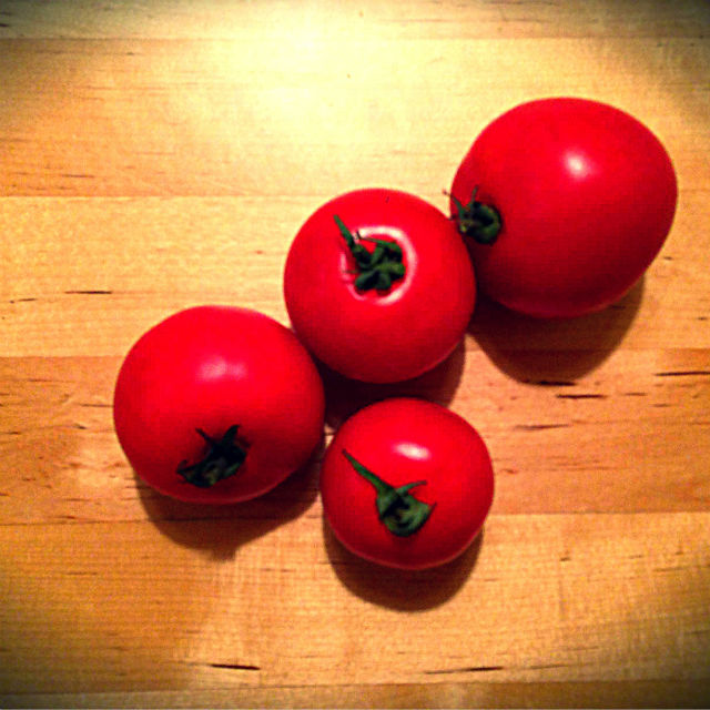 Tomatoes from Lila 640x640