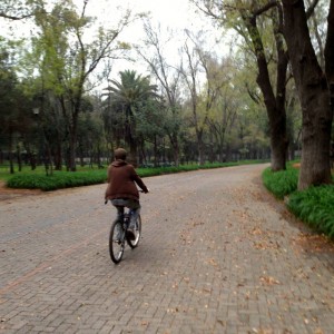 Bike riding Mexico City Chapultepec Park