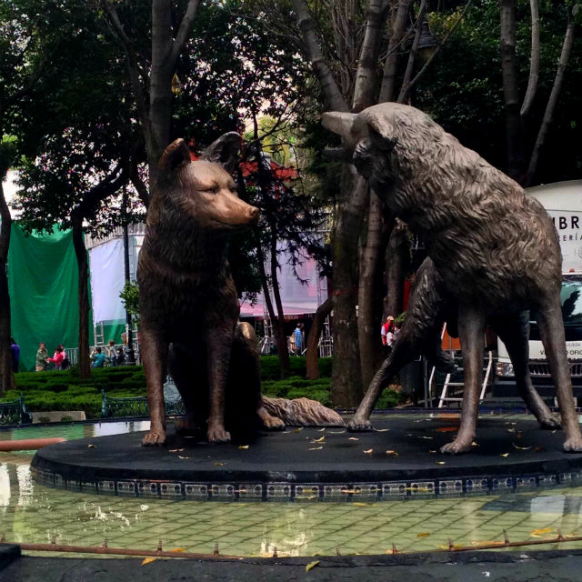 Coyote sculpture in Coyoacan