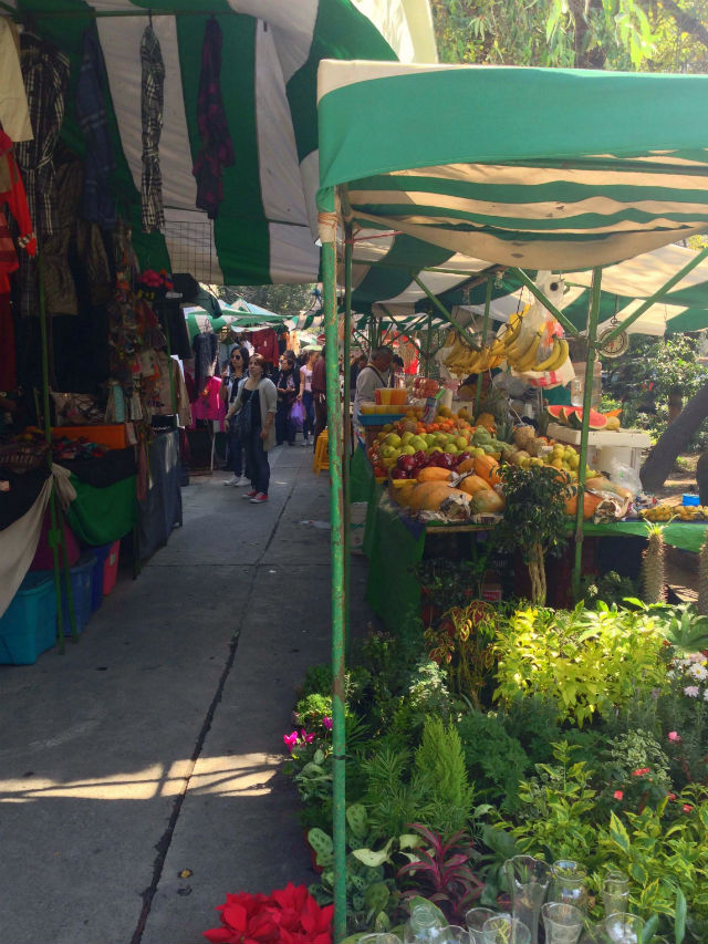 Farmers market Condesa