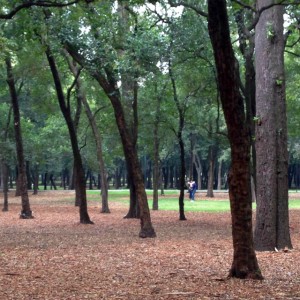 People making out in Chapultepec Park Mexico City