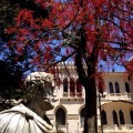 Palacio Vergara Vina del Mar