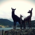 Deer Statue in San Martin de los Andes