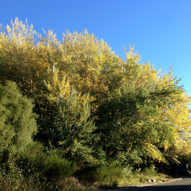 Otono San Martin de los Andes