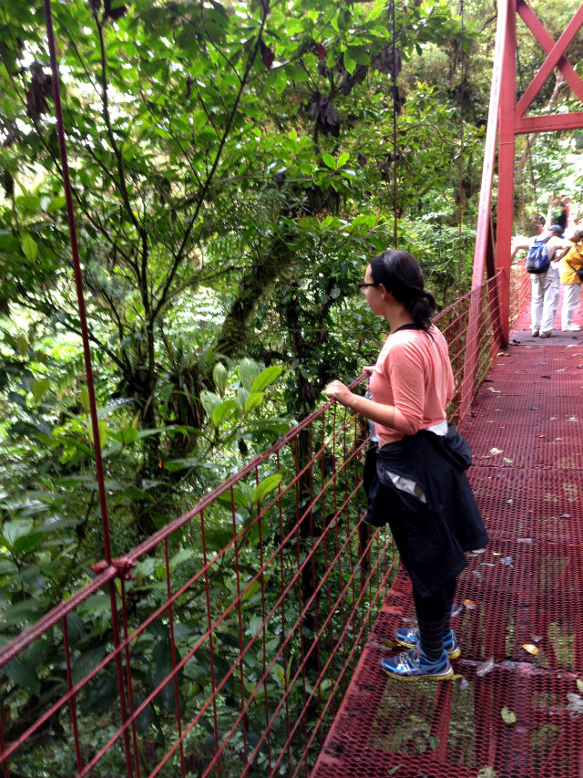 Tamara Bridge Monteverde